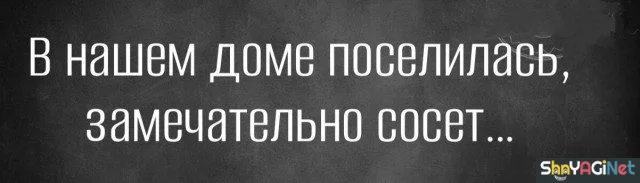 Меткие цитаты, которые описывают жизнь до мельчайших деталей цитаты, фразы, афоризмы, подборка, настроение, мысли