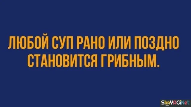 Меткие цитаты, которые описывают жизнь до мельчайших деталей цитаты, фразы, афоризмы, подборка, настроение, мысли