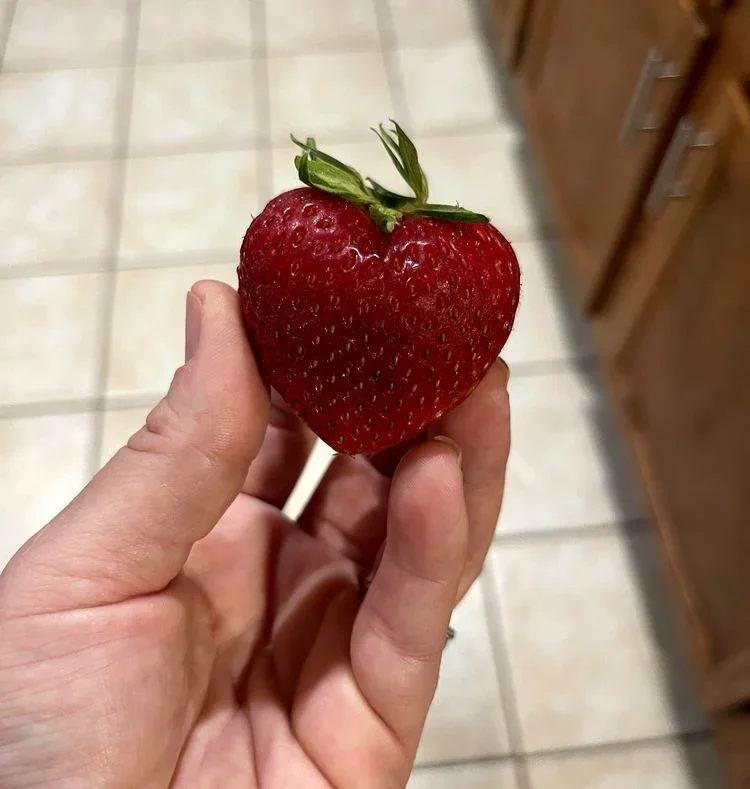 16 кадров, от которых внутри разливается тепло и гармония перфекционизм, oddly satisfying, гармония, подборка, фото, идеально, порядок