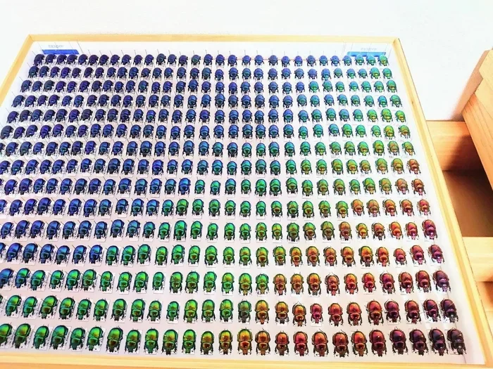 16 кадров, от которых внутри разливается тепло и гармония перфекционизм, oddly satisfying, гармония, подборка, фото, идеально, порядок