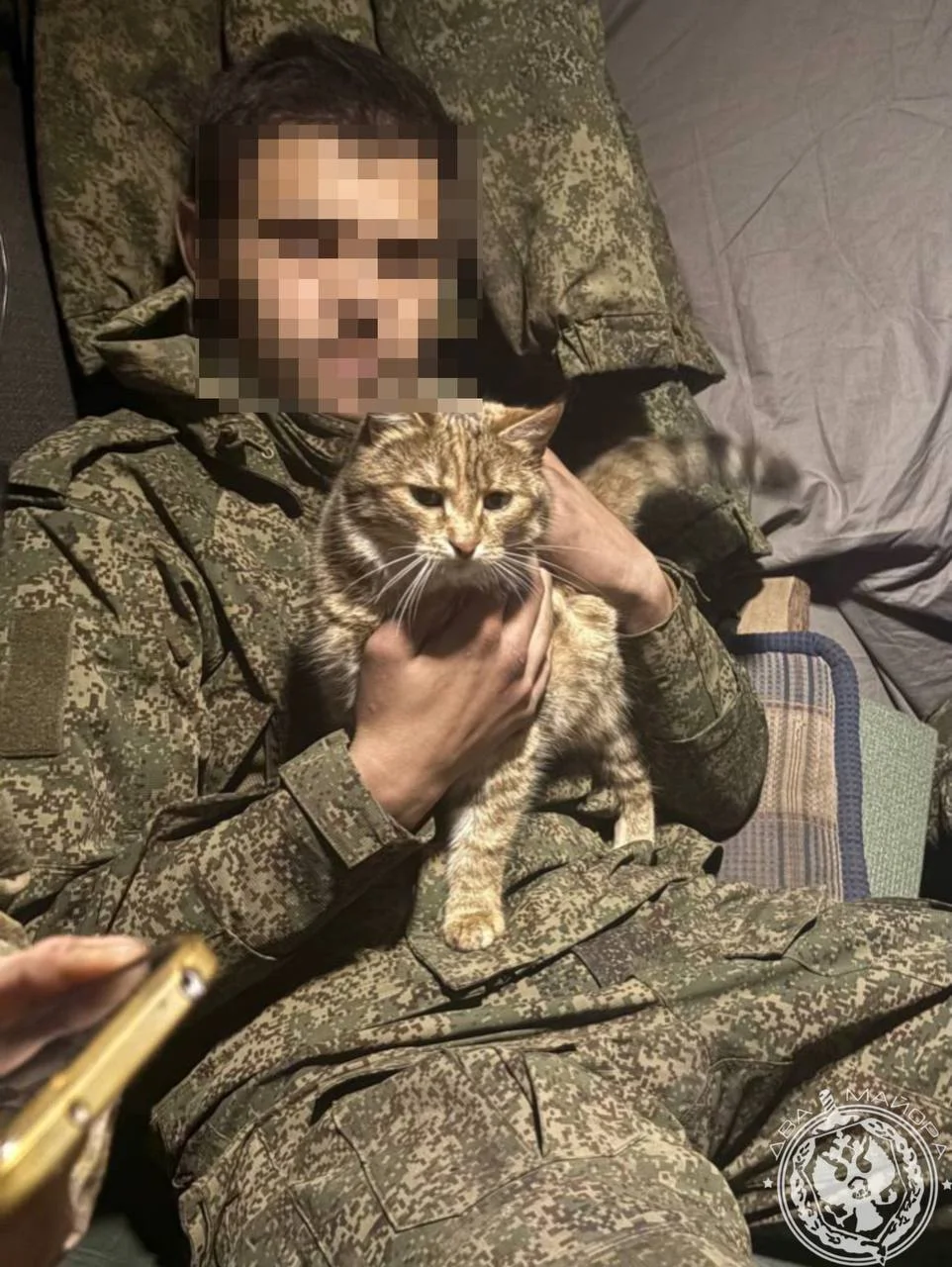 «Все 9 жизней бережно храня»: пронзительные стихи о спасённом коте на войне кот, война, спасение, стихи, солдат, дружба, животные