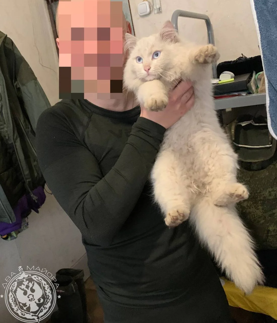 «Все 9 жизней бережно храня»: пронзительные стихи о спасённом коте на войне кот, война, спасение, стихи, солдат, дружба, животные