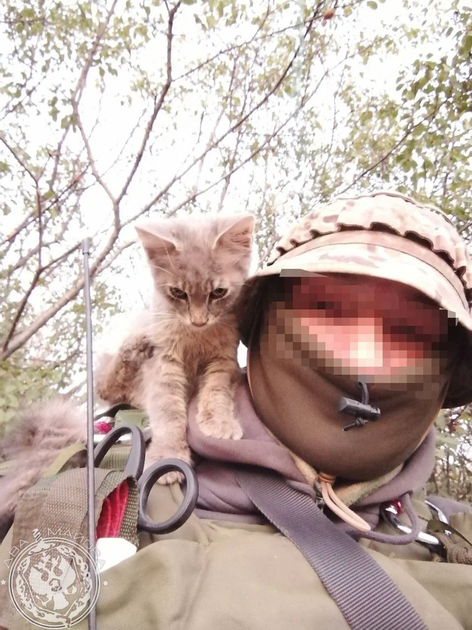 «Все 9 жизней бережно храня»: пронзительные стихи о спасённом коте на войне кот, война, спасение, стихи, солдат, дружба, животные