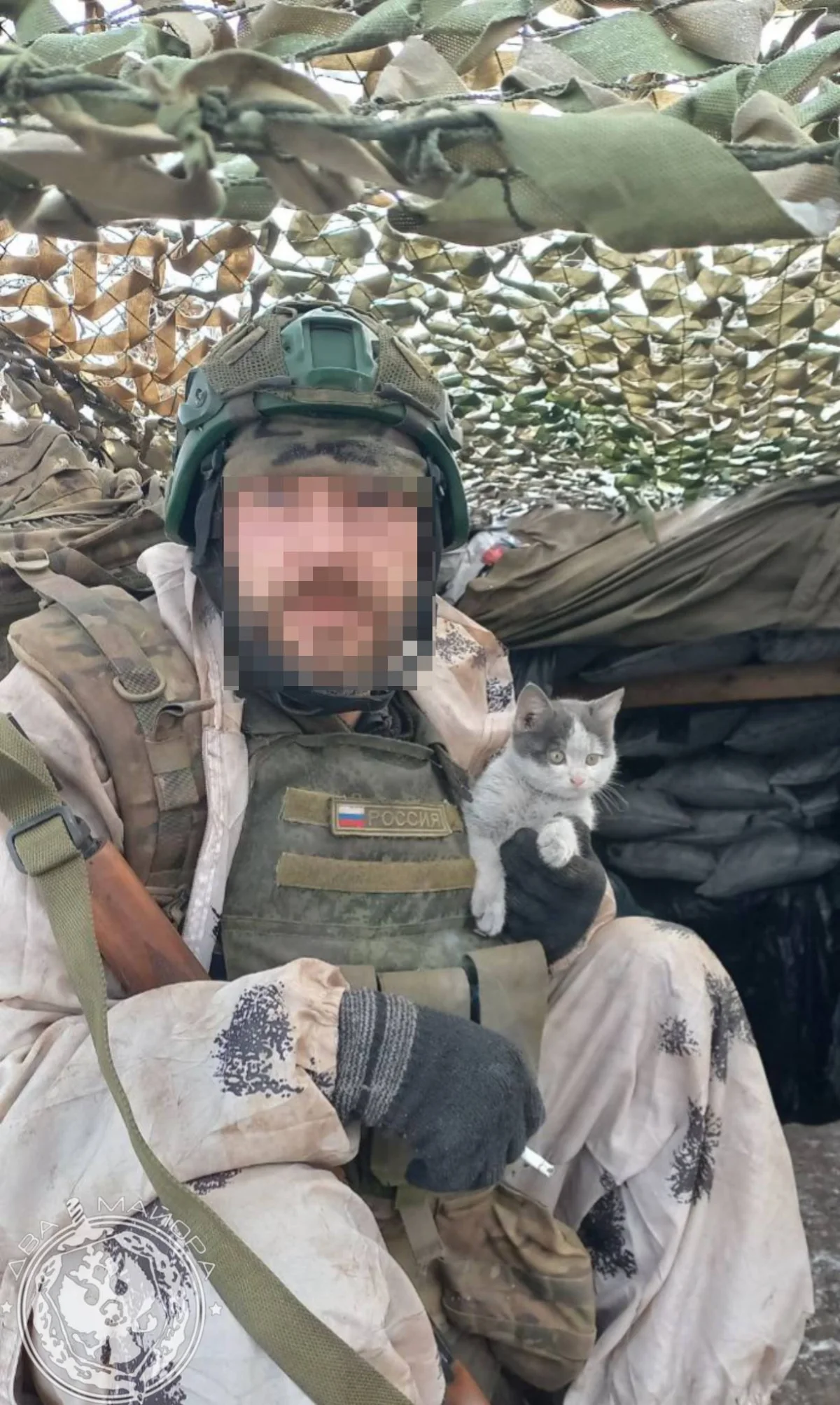 «Все 9 жизней бережно храня»: пронзительные стихи о спасённом коте на войне кот, война, спасение, стихи, солдат, дружба, животные