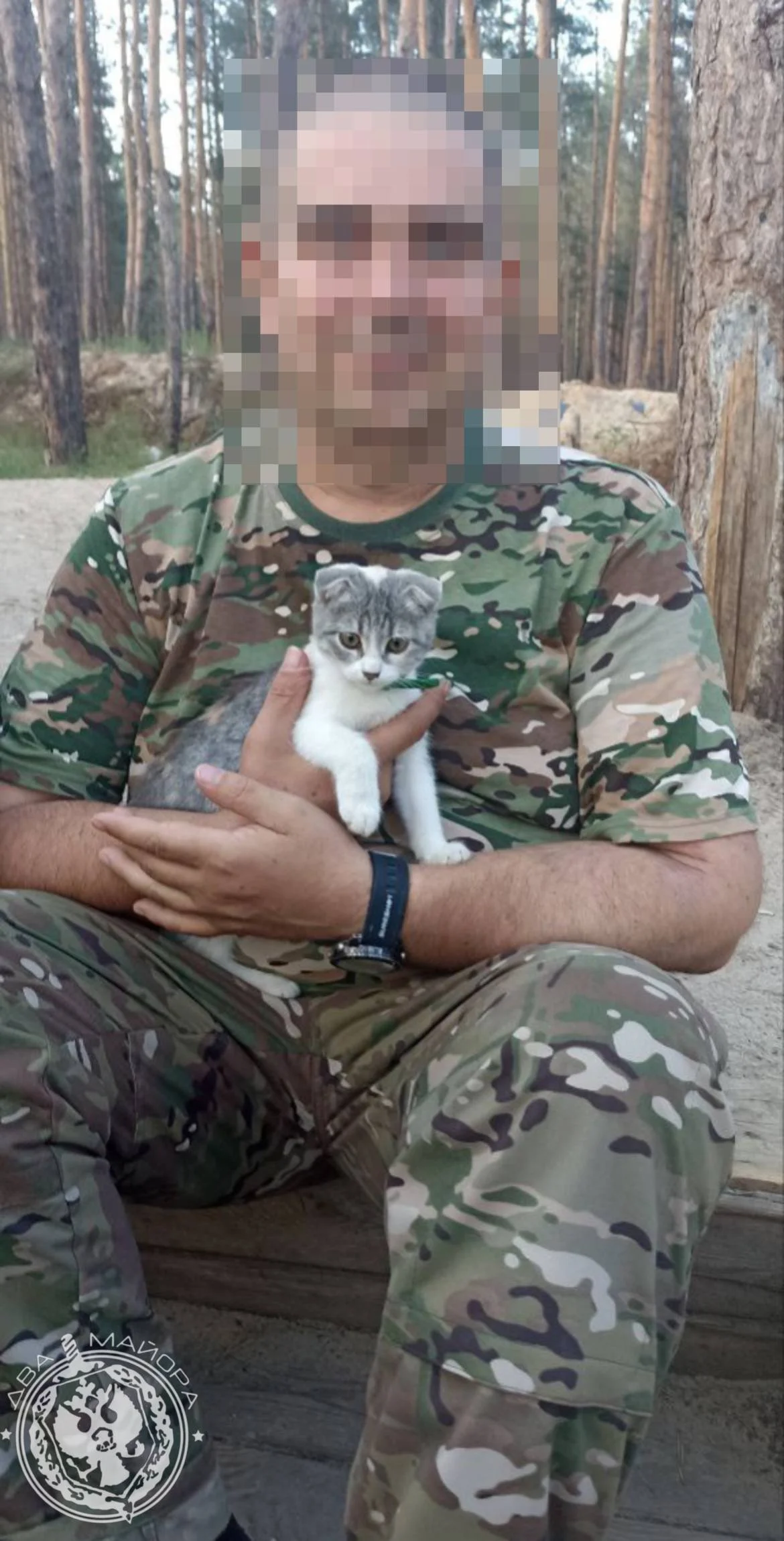 «Все 9 жизней бережно храня»: пронзительные стихи о спасённом коте на войне кот, война, спасение, стихи, солдат, дружба, животные