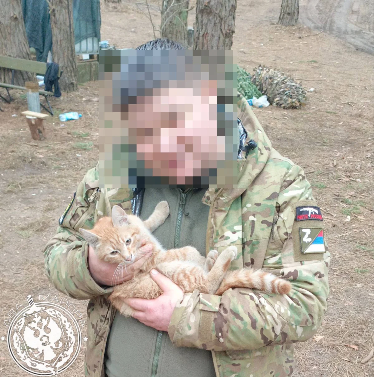 «Все 9 жизней бережно храня»: пронзительные стихи о спасённом коте на войне кот, война, спасение, стихи, солдат, дружба, животные