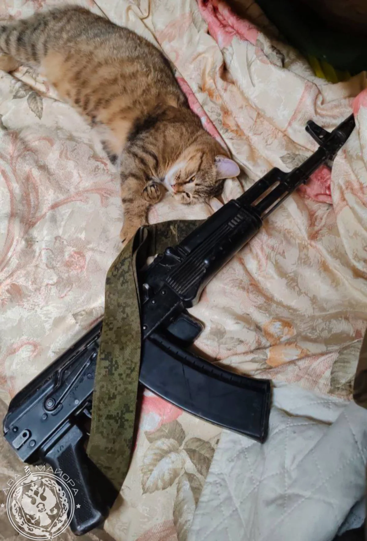 «Все 9 жизней бережно храня»: пронзительные стихи о спасённом коте на войне кот, война, спасение, стихи, солдат, дружба, животные