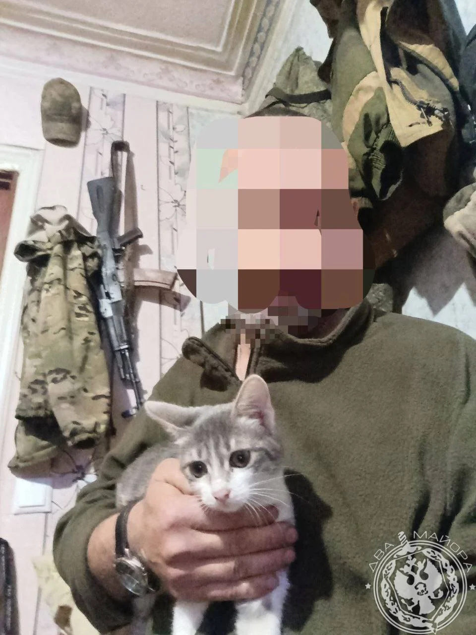 «Все 9 жизней бережно храня»: пронзительные стихи о спасённом коте на войне кот, война, спасение, стихи, солдат, дружба, животные