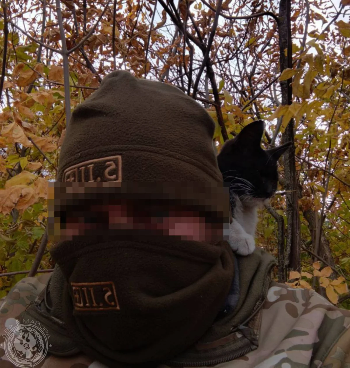 «Все 9 жизней бережно храня»: пронзительные стихи о спасённом коте на войне кот, война, спасение, стихи, солдат, дружба, животные