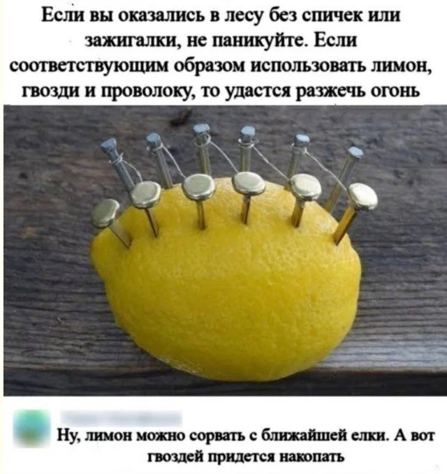 Абсолютный трэш-мастер: мир сошел с ума приколы, фото, подборка, юмор, трэш