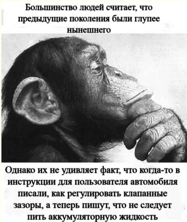 Абсолютный трэш-мастер: мир сошел с ума приколы, фото, подборка, юмор, трэш