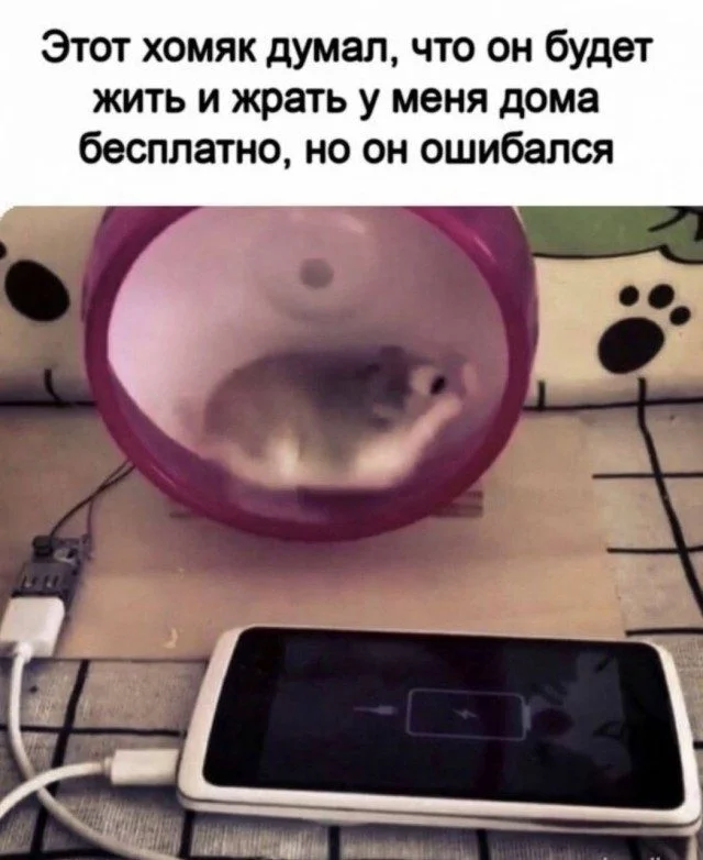 Абсолютный трэш-мастер: мир сошел с ума приколы, фото, подборка, юмор, трэш