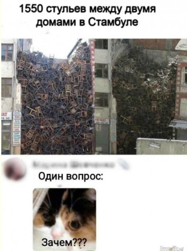 Абсолютный трэш-мастер: мир сошел с ума приколы, фото, подборка, юмор, трэш