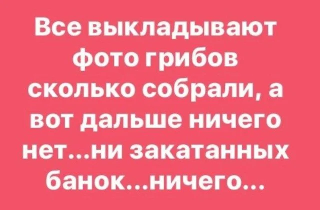 Абсолютный трэш-мастер: мир сошел с ума приколы, фото, подборка, юмор, трэш