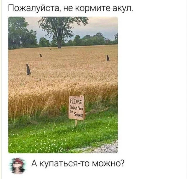 Абсолютный трэш-мастер: мир сошел с ума приколы, фото, подборка, юмор, трэш