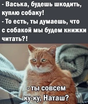 Свежая подборка убойного юмора: от политики до бытовых лайфхаков юмор, анекдоты, приколы, смешные истории, шутки, политика, жизнь, отношения