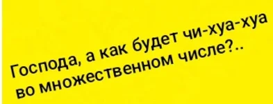 «Ценник на мясо - моя пенсия»: 10 абсурдных жизненных наблюдений