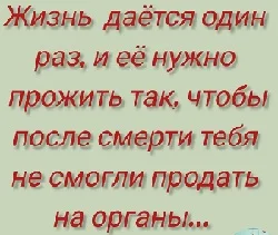 «Ценник на мясо - моя пенсия»: 10 абсурдных жизненных наблюдений пенсия, мясо, ценник, приколы, истории, жизнь, юмор, литва, замминистра, пропаганда