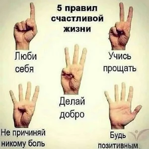 «Ценник на мясо - моя пенсия»: 10 абсурдных жизненных наблюдений пенсия, мясо, ценник, приколы, истории, жизнь, юмор, литва, замминистра, пропаганда
