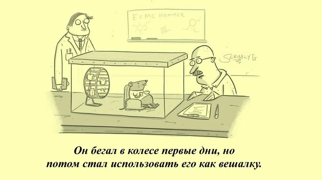 Остроумные и очень смешные комиксы Скриббли Гжи