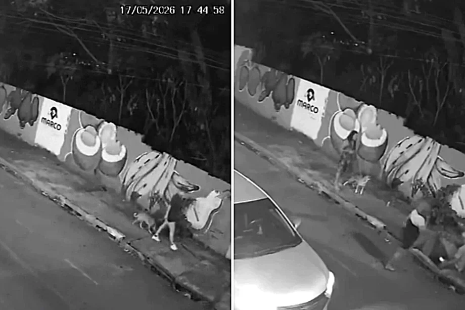 Прогулка с собакой обернулась падением в открытый люк: видео инцидента