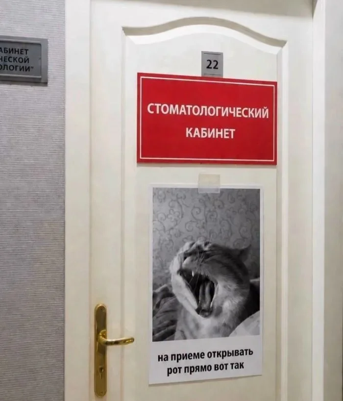 Порция смеха на выходные: свежие мемы мемы, приколы, юмор, картинки, подборка, выходные, настроение, позитив
