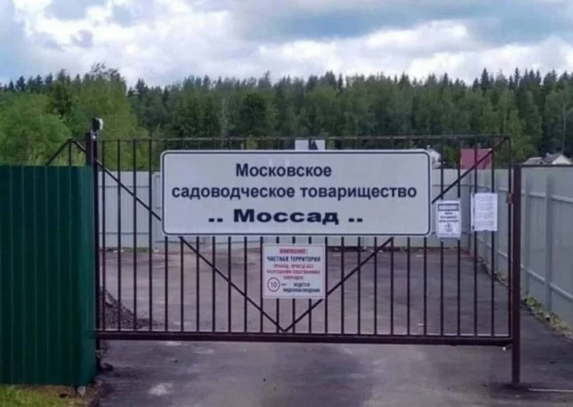 Порция смеха на выходные: свежие мемы мемы, приколы, юмор, картинки, подборка, выходные, настроение, позитив