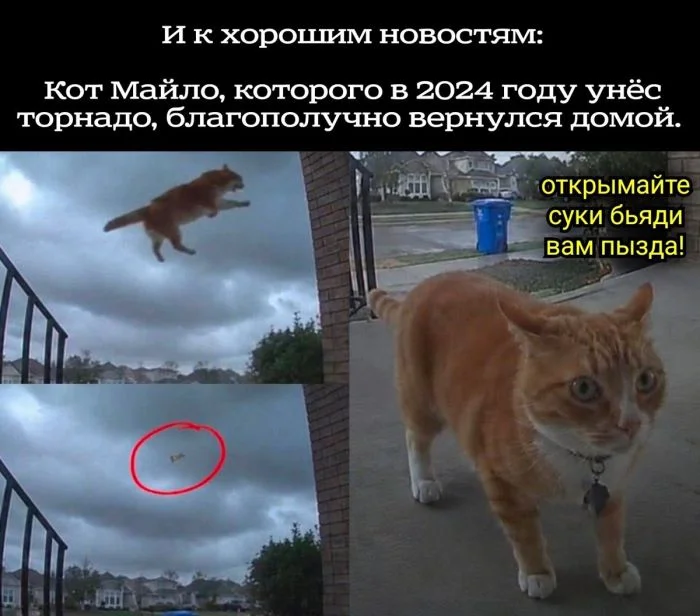 Порция смеха на выходные: свежие мемы мемы, приколы, юмор, картинки, подборка, выходные, настроение, позитив