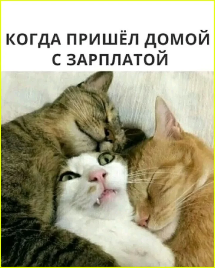 Подборка мемов про пятницу и конец рабочей недели