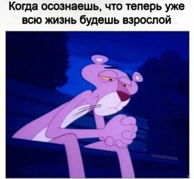 Когда реальность переплюнула выдумку приколы, фото, абсурд, жизнь, смешное