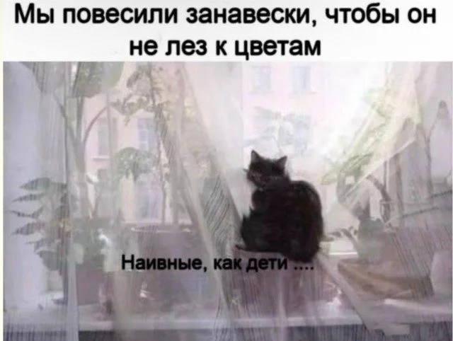 Когда реальность переплюнула выдумку приколы, фото, абсурд, жизнь, смешное