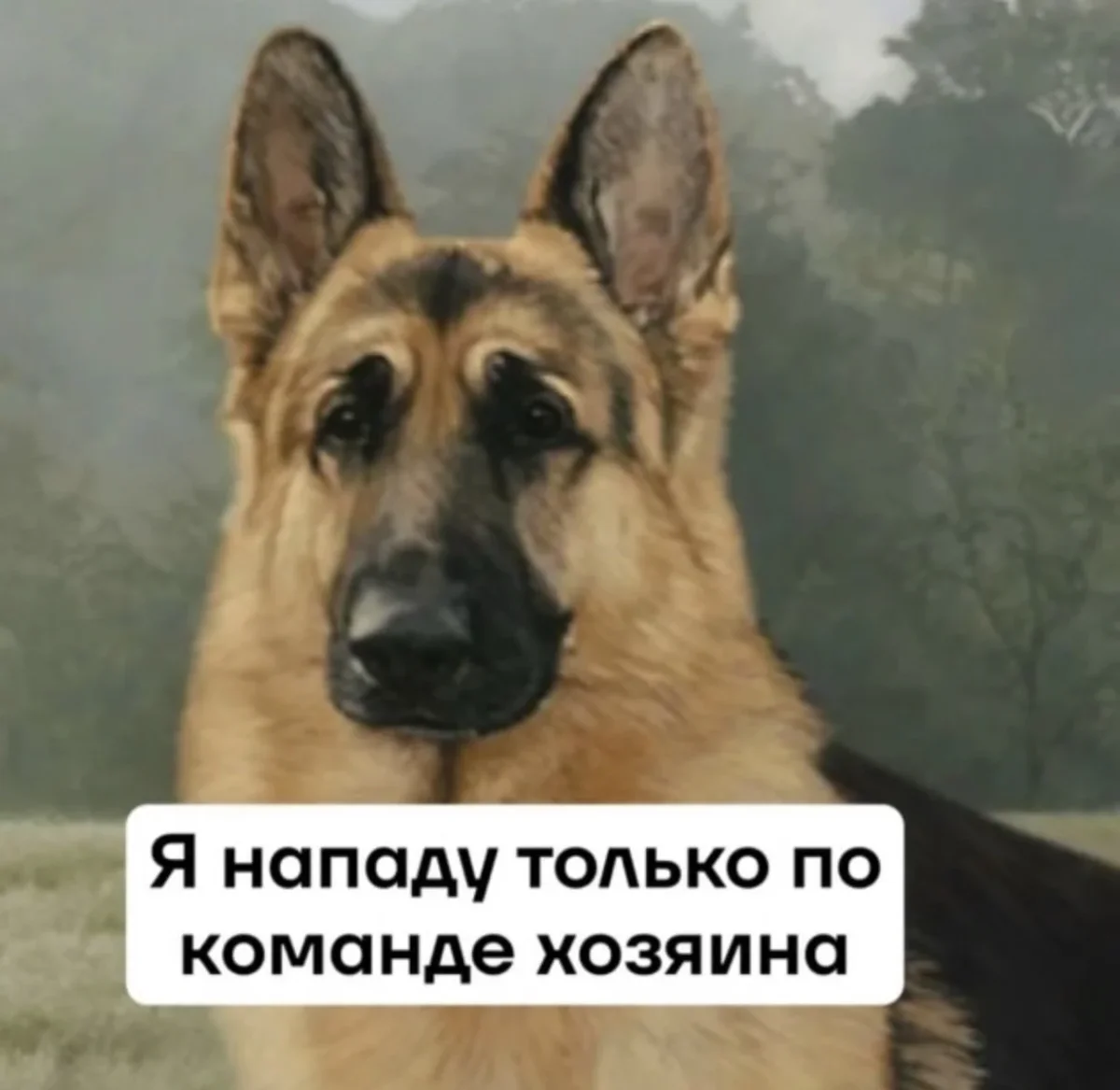 Юмор за день: когда смех — лучшее лекарство юмор, приколы, мемы, позитив, счастье, картинки, подборка, настроение, улыбка