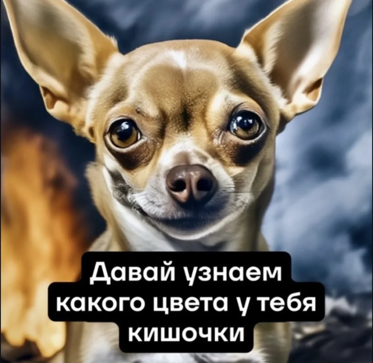 Юмор за день: когда смех — лучшее лекарство юмор, приколы, мемы, позитив, счастье, картинки, подборка, настроение, улыбка