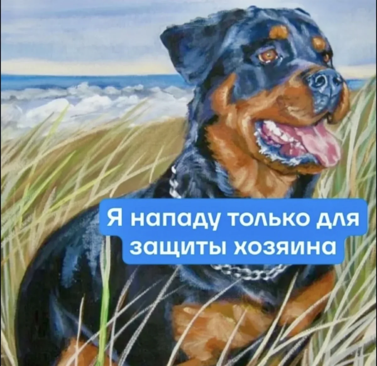 Юмор за день: когда смех — лучшее лекарство юмор, приколы, мемы, позитив, счастье, картинки, подборка, настроение, улыбка