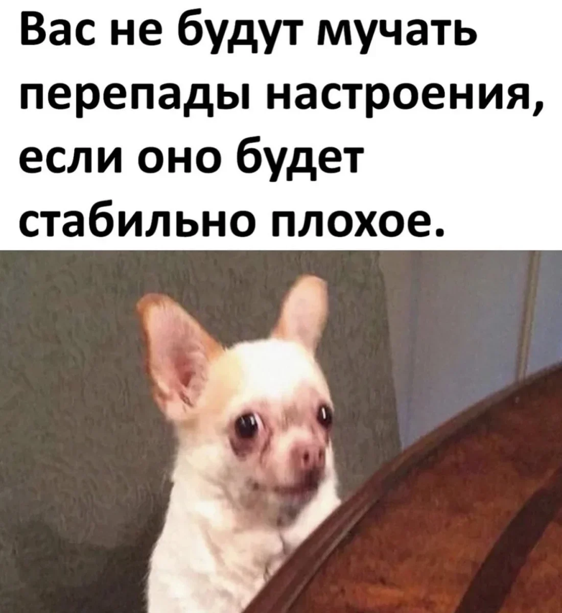 Юмор за день: когда смех — лучшее лекарство юмор, приколы, мемы, позитив, счастье, картинки, подборка, настроение, улыбка