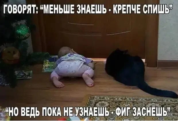 Смешные истории из жизни: от детсада до закона бутерброда анекдоты, юмор, приколы, жизненно, истории, семья, дети, закон бутерброда
