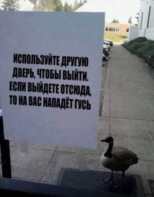 17 убойных картинок недели и дикий журнал для вегетарианцев смешные картинки, приколы, мемы, подборка, юмор, лол, вегетарианцы