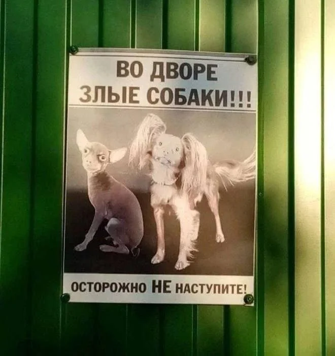 17 убойных картинок недели и дикий журнал для вегетарианцев смешные картинки, приколы, мемы, подборка, юмор, лол, вегетарианцы