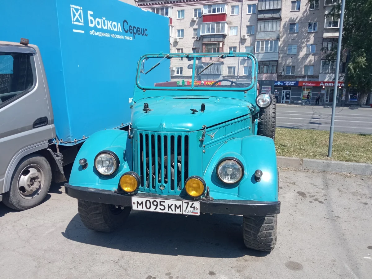 Неожиданный гость на улице Доватора