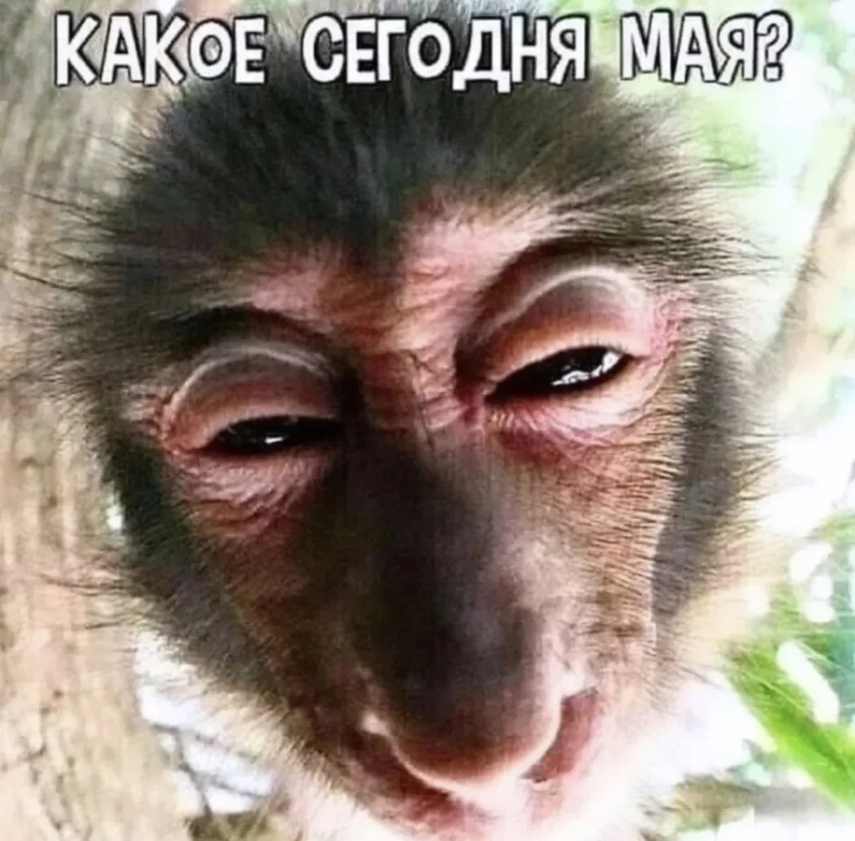 Юмор на сегодня: подборка смешных картинок юмор, приколы, картинки, мемы, смешное