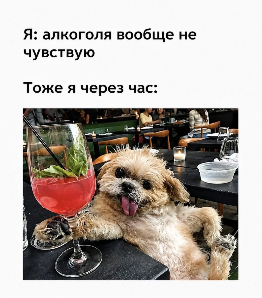 Юмор на сегодня: подборка смешных картинок юмор, приколы, картинки, мемы, смешное