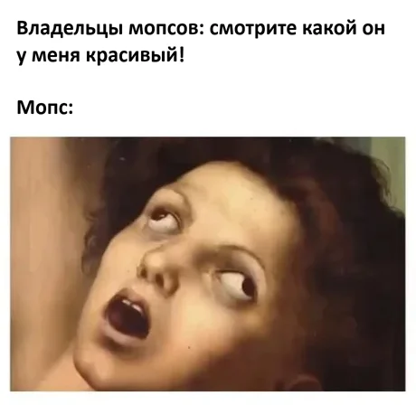 Мемный заряд на понедельник: смеёмся до выходных мемы, картинки, приколы, понедельник, юмор, позитив