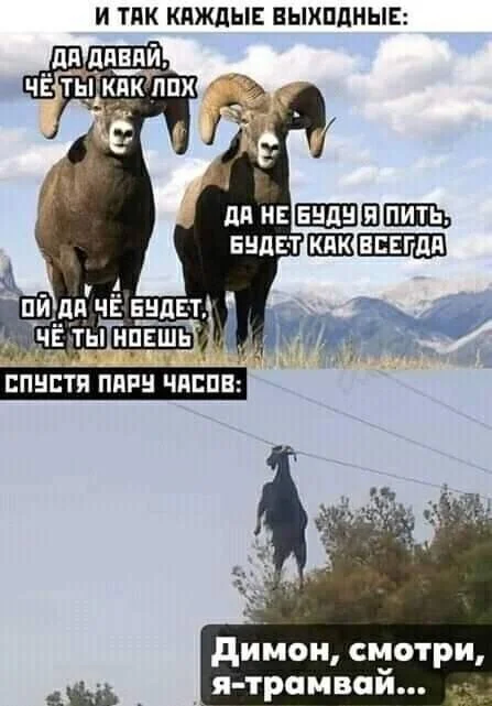 Мемный заряд на понедельник: смеёмся до выходных мемы, картинки, приколы, понедельник, юмор, позитив