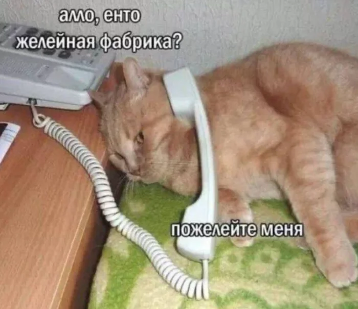 Мемный заряд на понедельник: смеёмся до выходных мемы, картинки, приколы, понедельник, юмор, позитив