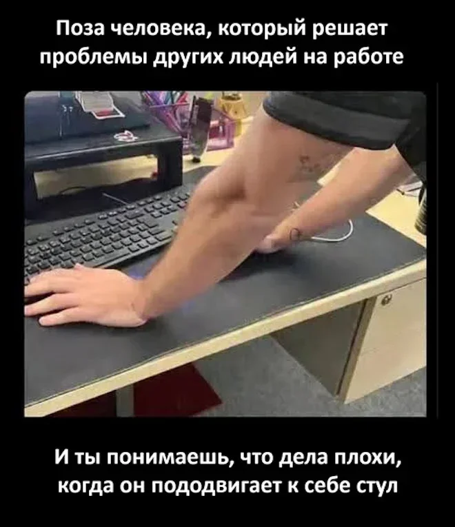 Смешные картинки на утро 25 мая: про вранье, любовь и работу мемы, приколы, юмор, картинки, подборка, утро, 25 мая, вранье, любовь, работа