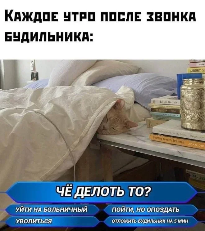 Смешные картинки на утро 25 мая: про вранье, любовь и работу мемы, приколы, юмор, картинки, подборка, утро, 25 мая, вранье, любовь, работа