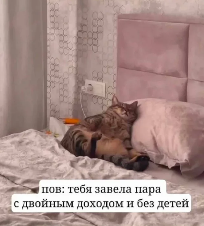 Смешные картинки на утро 25 мая: про вранье, любовь и работу мемы, приколы, юмор, картинки, подборка, утро, 25 мая, вранье, любовь, работа