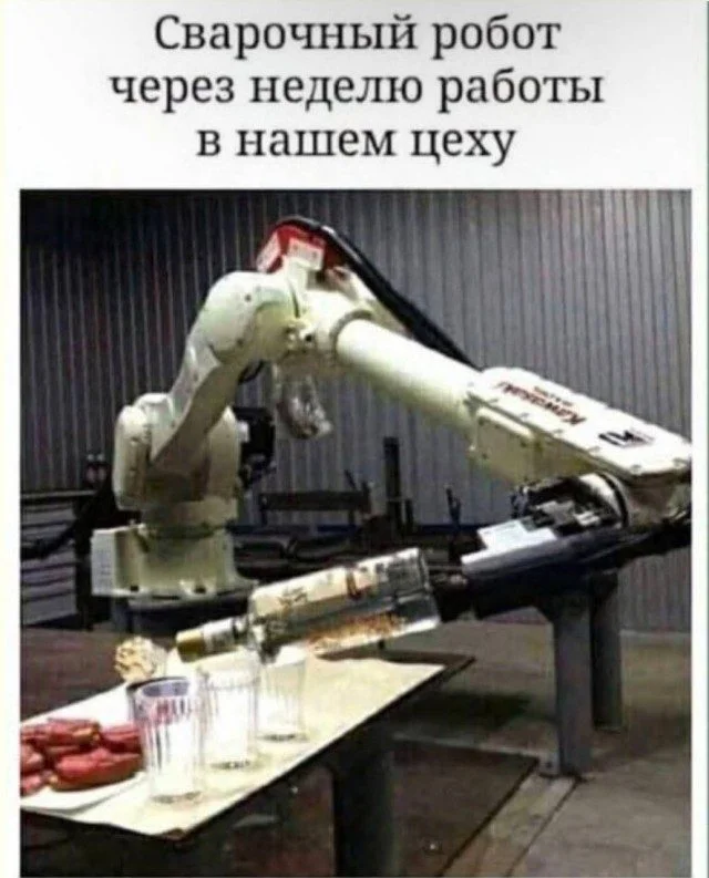 Котики правят миром: подборка мемов, где люди — просто статисты котики, мемы, приколы, животные, подборка, смешные картинки, угар, кот
