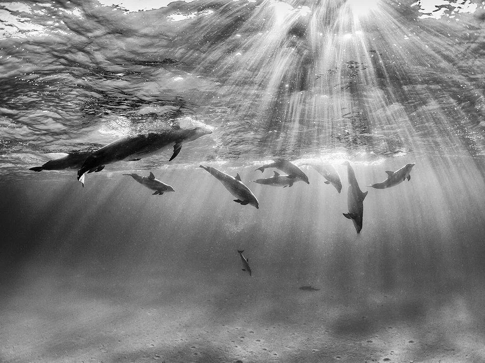 Природа без фотошопа: 40 удивительных кадров фотографии, природа, креатив, без фотошопа, необычные кадры, фотоискусство, случайность, красота