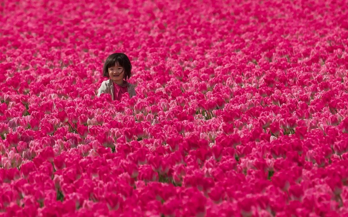 Природа без фотошопа: 40 удивительных кадров фотографии, природа, креатив, без фотошопа, необычные кадры, фотоискусство, случайность, красота